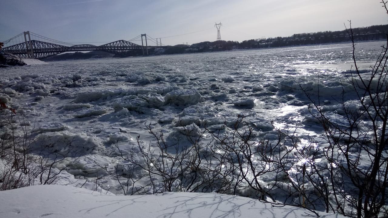 Gite Au Gre Du Vent Quebec City Bagian luar foto